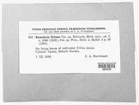 Image Associated With the Occurence